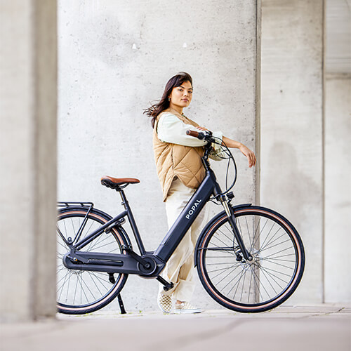 scheiden Dalset publiek Elektrische fietsen en E-bikes | E-bike Megastore | Fietsenwinkel.nl