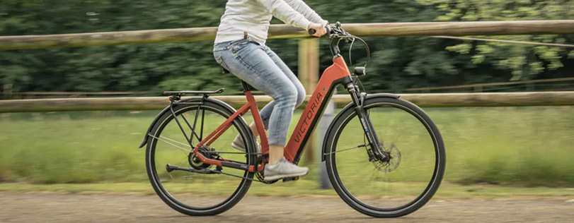 voeden Efficiënt vernieuwen Opzoek naar een elektrische fiets met lage instap?