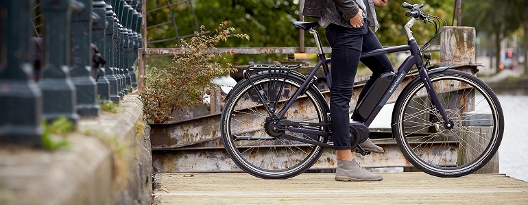 Aan het water Hilarisch Regelmatig Elektrisch fietsen naar uw werk | Fietsenwinkel.nl